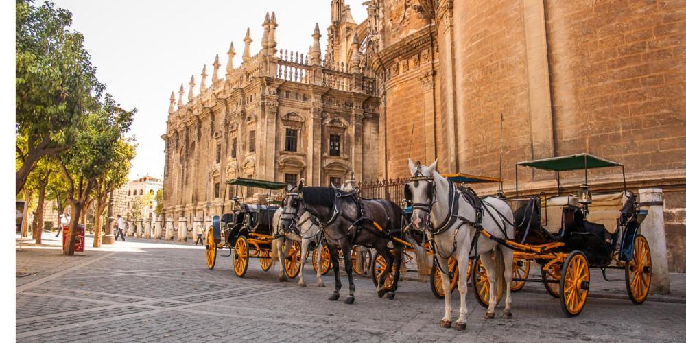 Chic Casa Cathedral At Calle Fresca 2-Bedroom Apartment In Malaga City Center Luaran gambar